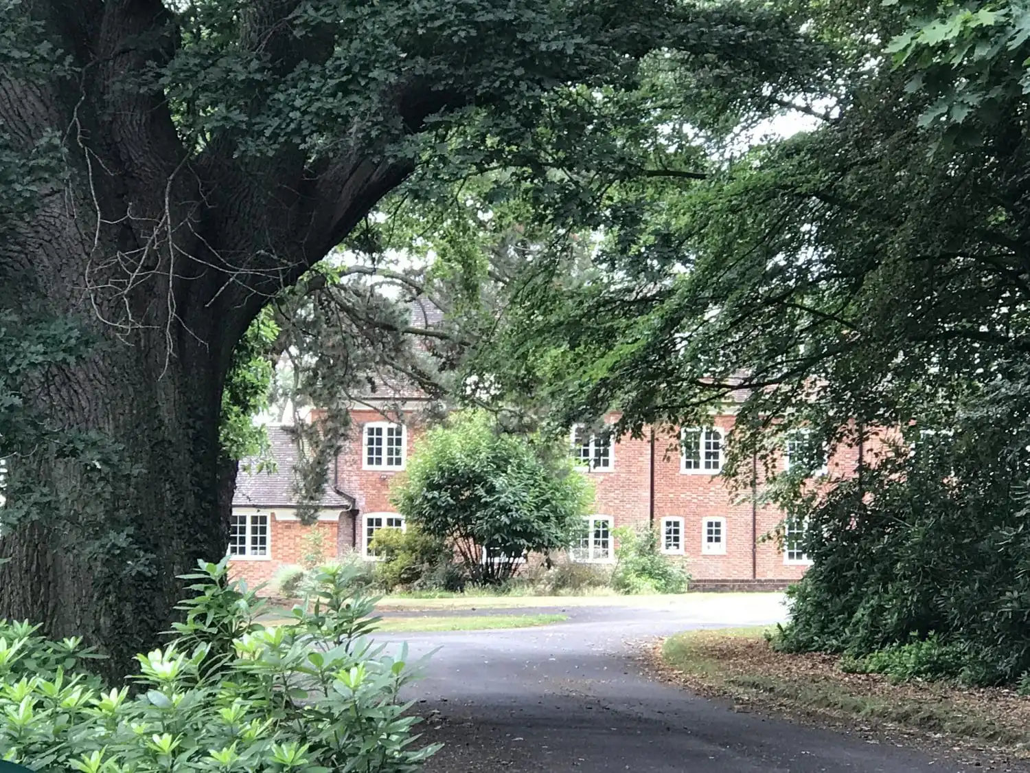 Picture of a home with trees by the entrance